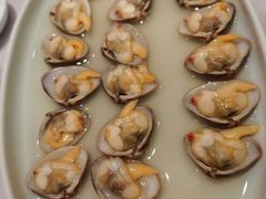蚬子-喜鼎海胆水饺(平安金融中心店)