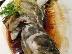 -海儀美食楼(湾仔海鲜街店)