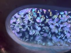-海合安天津极地海洋公园