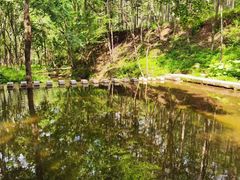 -洛阳白云山景区