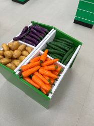 -莫莉幻想儿童乐园(北京丰台永旺店)