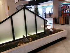 -绿杨春·淮扬宴(庐山路店)