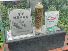 -广州神农草堂中医药博物馆