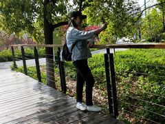 -昆山城市生态森林公园