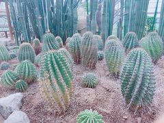 -南山植物园