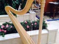 iphone_upload_pic-利顺德大饭店·维多利亚花园(小白楼店)