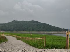 -木洞河街
