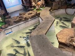 -春盛渔府(牛首山店)
