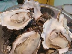 -鲜小岛·铜锅涮肉
