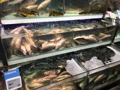 -盒马鲜生(红莲店)
