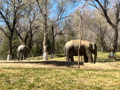 -北京野生动物园