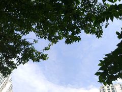 -苏州河梦清园环保主题公园