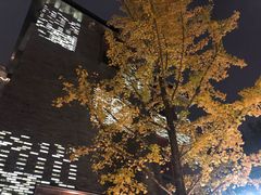 -徐家汇源景区-衡山坊