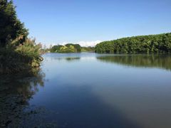 -大湾区中央湿地公园