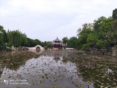 -莲池书院博物馆