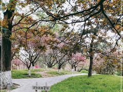-丰台花园