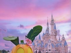 -上海迪士尼度假区