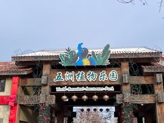 -南宫五洲植物乐园