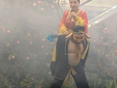 -龙江大舞台旗舰店