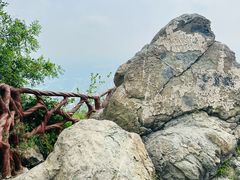 -北京西山国家森林公园