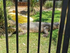 -费瑟代尔野生动物园