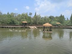 -溱湖国家湿地公园