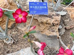 -国家植物园南园