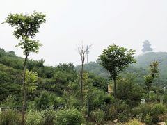 -定都峰