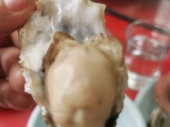 -金渔村海鲜烧烤大排档
