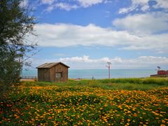 -青海湖国家重点风景名胜区