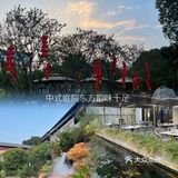 沙湾探店|藏匿在古镇上的番禺菜馆📌喜院🏡