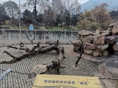 -西安秦岭野生动物园
