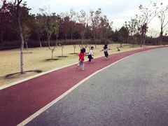 -上海长兴岛郊野公园