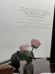 -程Studio
