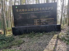 -缙云山景区