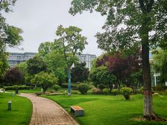 -南阳建业森林半岛假日酒店