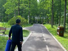 -黄海国家森林公园