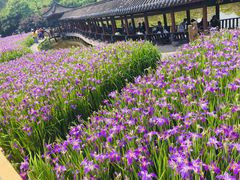 -龙头寺公园