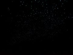 -怀托摩萤火虫洞