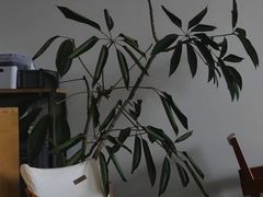 -DEEP COFFEE(瑞光烘焙工厂店)