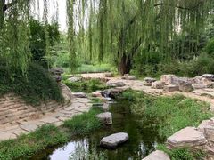 环境美美哒-北京动物园