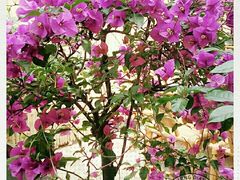 -拈一筷子·宜宾江湖菜(总店)