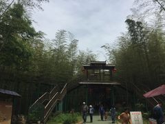 -陶祖圣境风景区