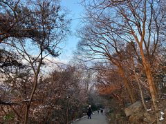 -紫金山山顶公园