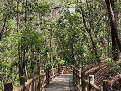 -青龙山国家森林公园