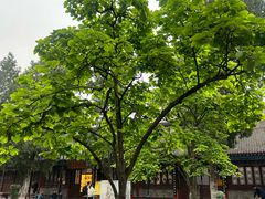 -万寿八仙宫