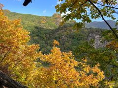 -五女峰国家森林公园