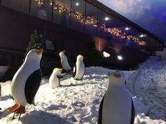 -世界之窗阿尔卑斯冰雪世界