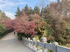 -长广溪湿地公园