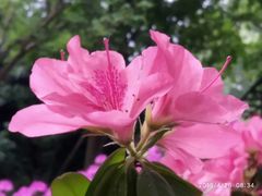 -常州大学怀德学院